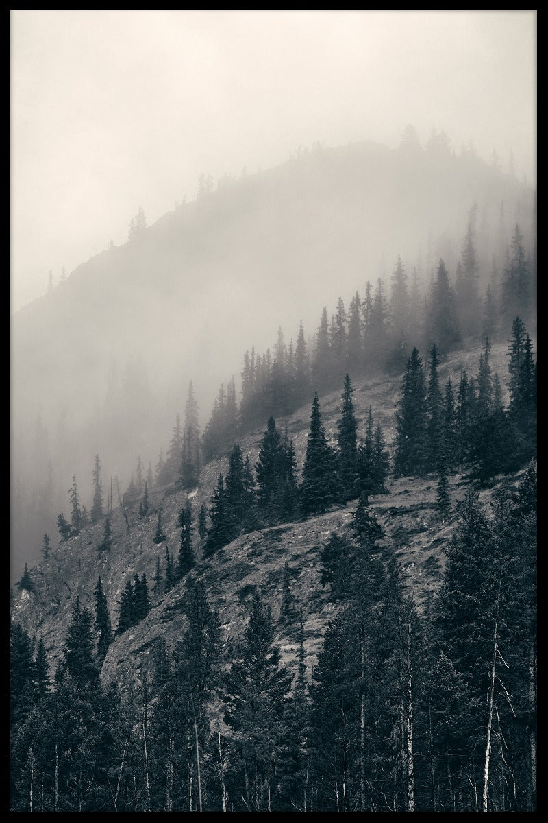 Banff National Park juliste