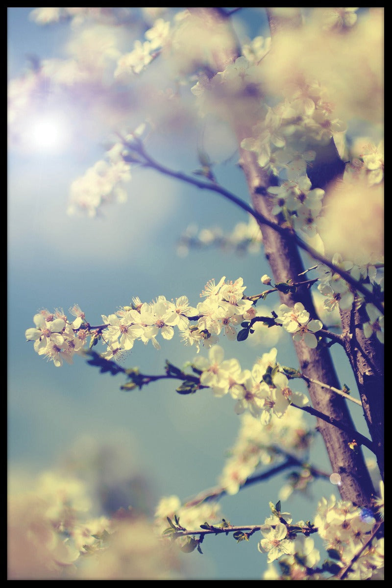 Vintage Cherry Tree juliste