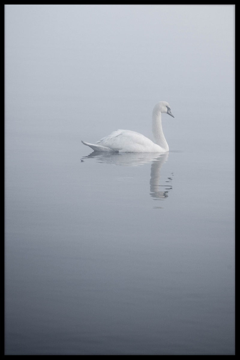 White Swan juliste