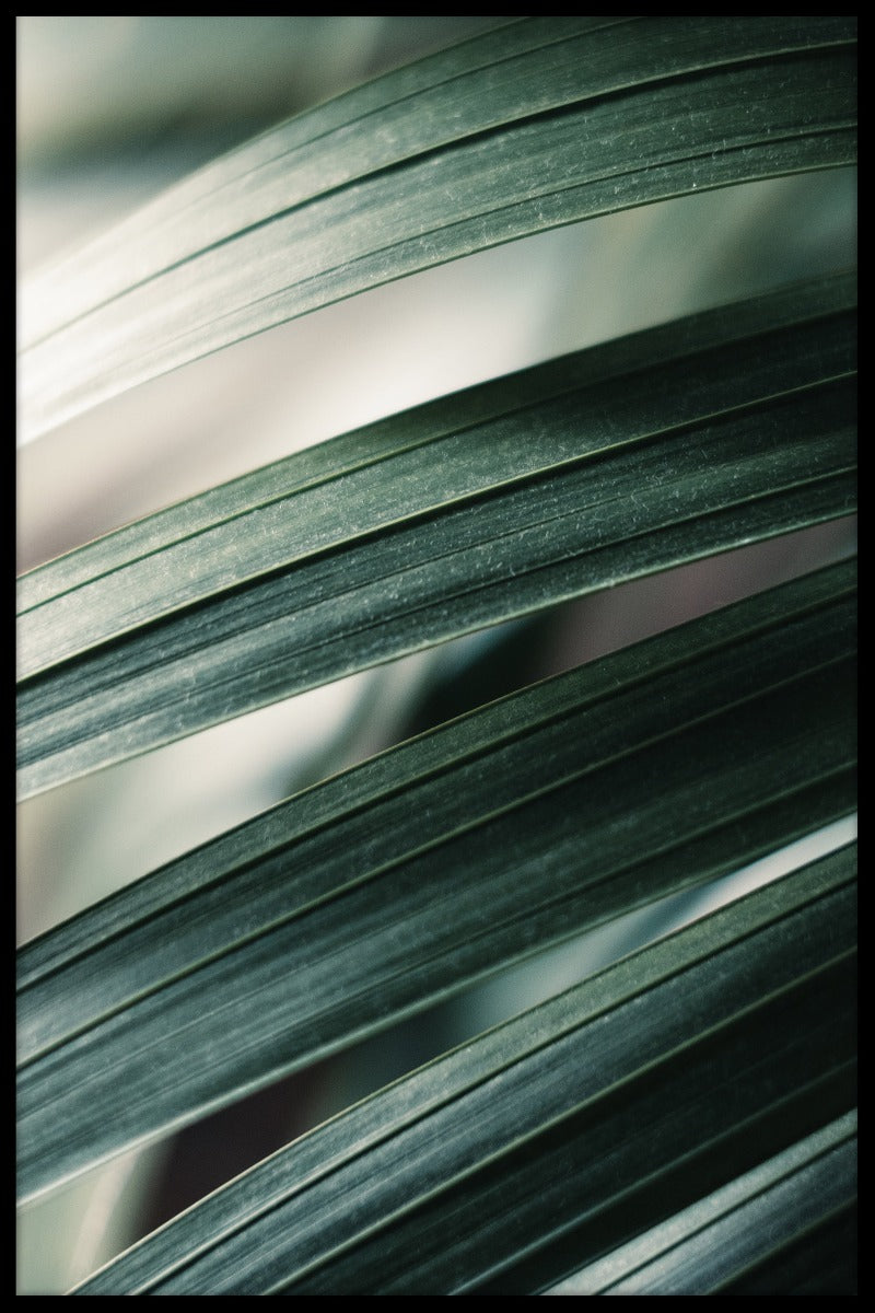 Tropical Leaves juliste