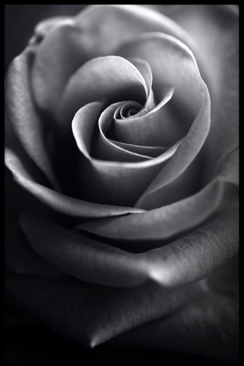 Macro Flower N03 juliste