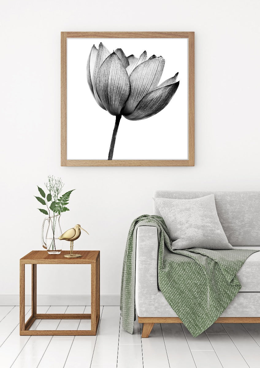 Lotus Black & White juliste