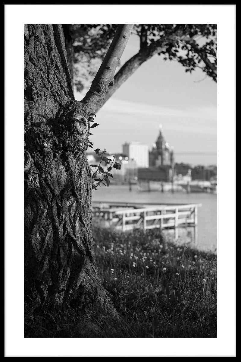 Helsinki View juliste