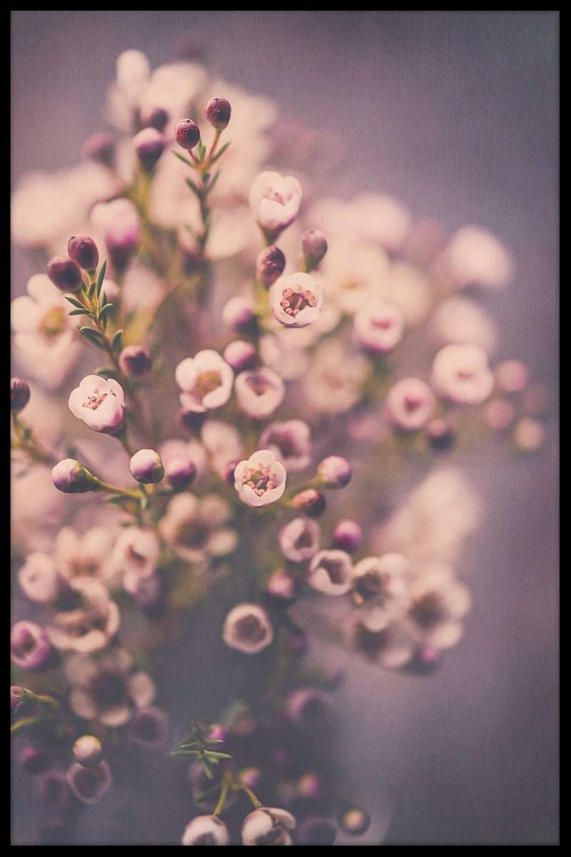 Beautiful Bouquet N02 juliste