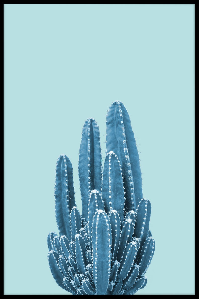 Cactus On Blue juliste
