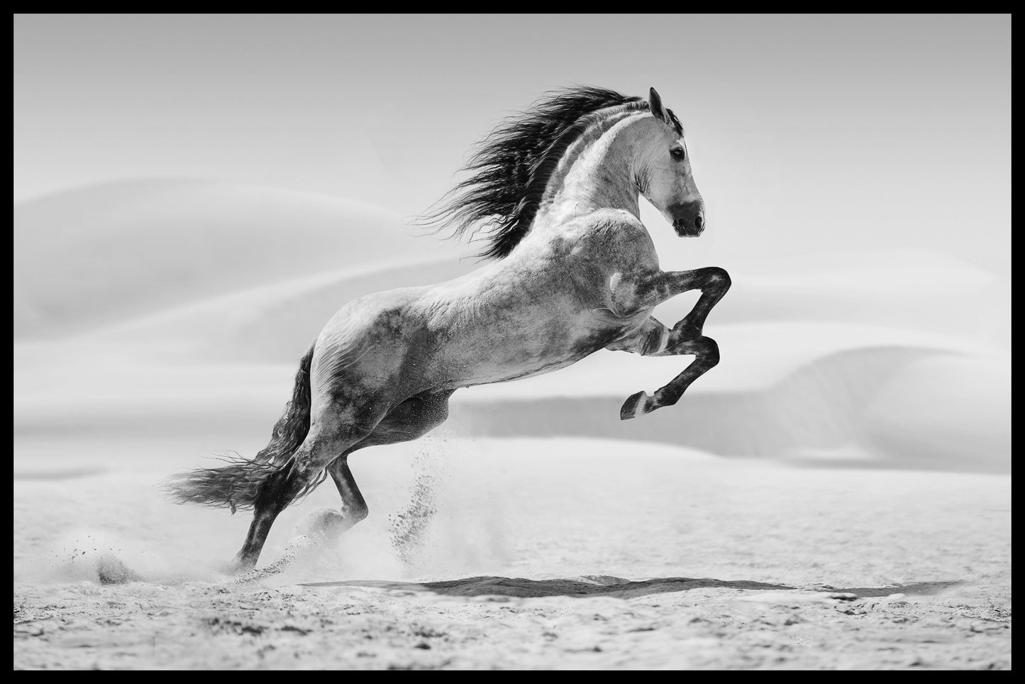 Galloping White Horse juliste