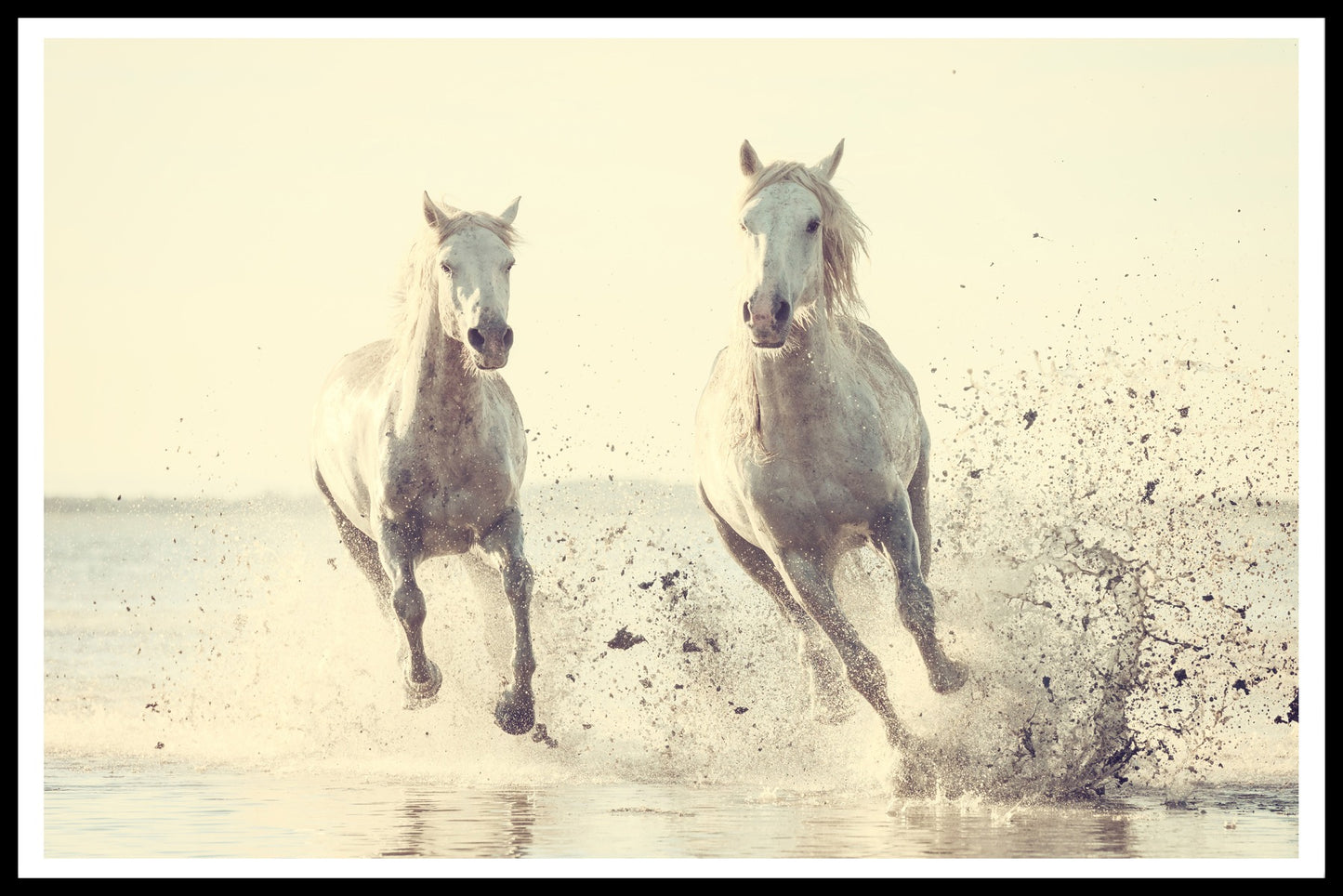 Wild Horses juliste