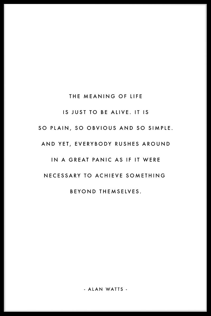Meaning of Life juliste