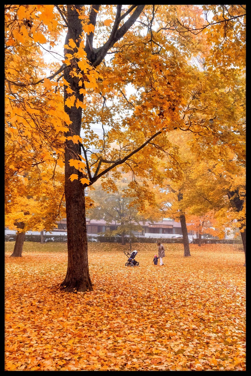 Learning to Walk in the Woods juliste