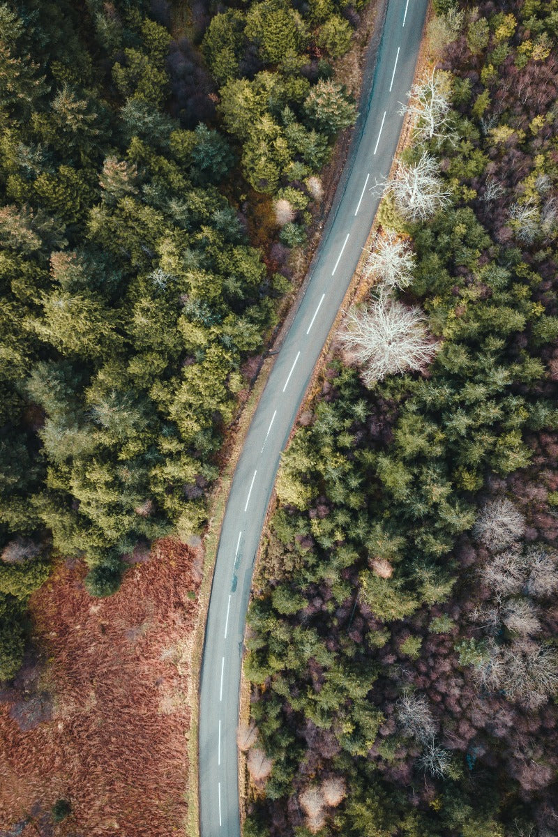 Lush Landscapes N03 juliste