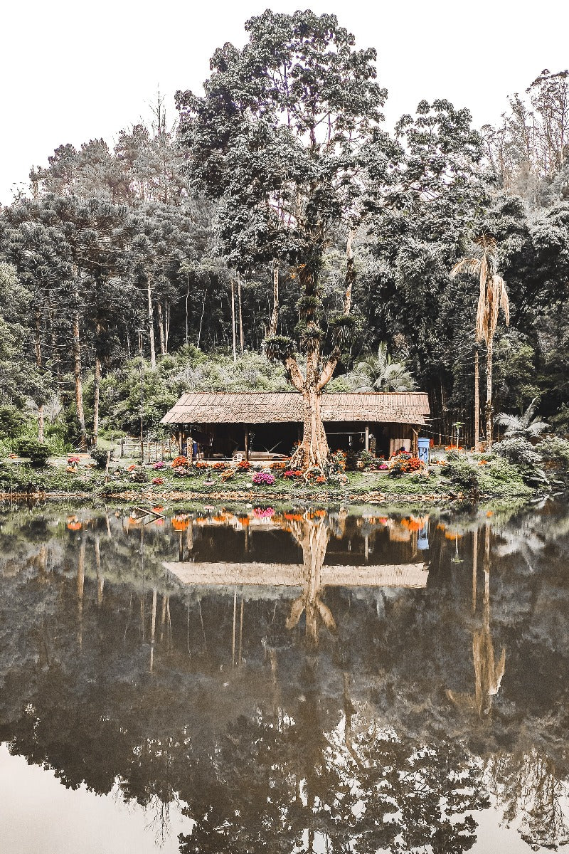 Green & Grey Nature N02 juliste-pp