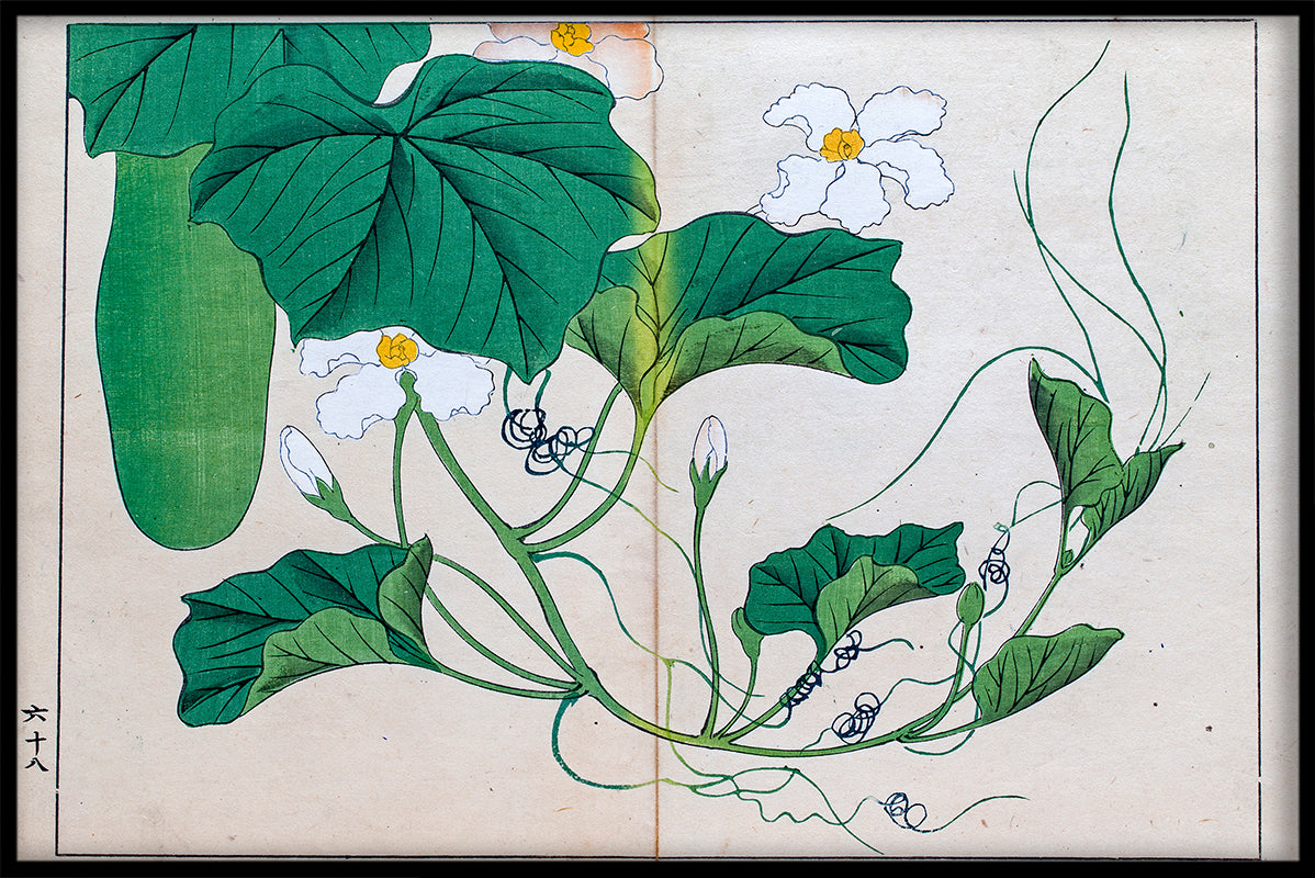 Japanese Illustration N01 juliste