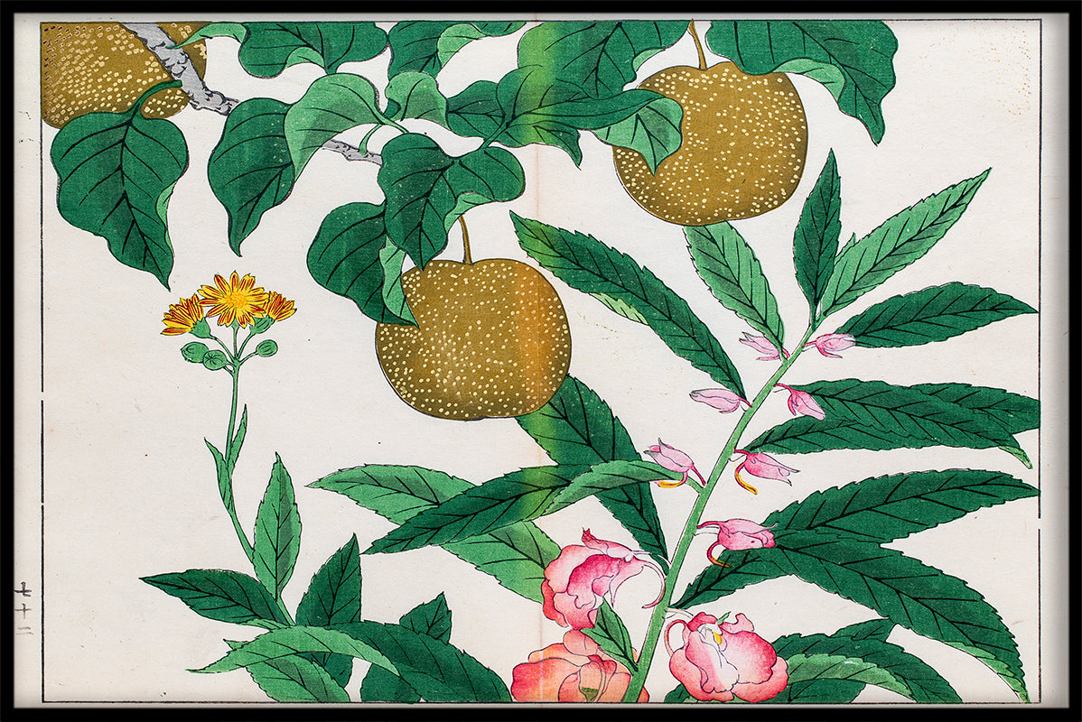 Japanese Illustration N03 juliste