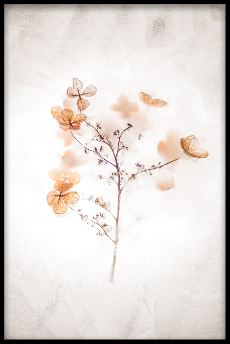 Plants & Flowers N01 juliste