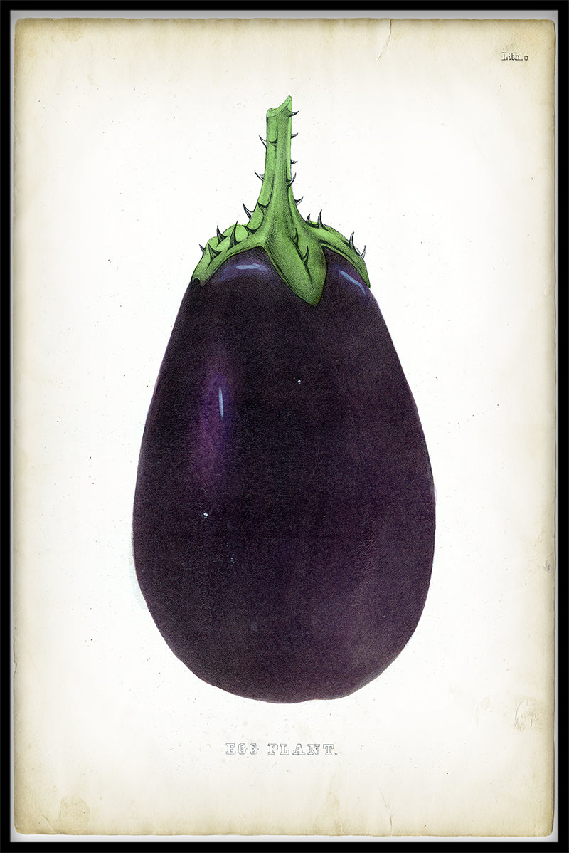 Plants & Flowers N03 juliste