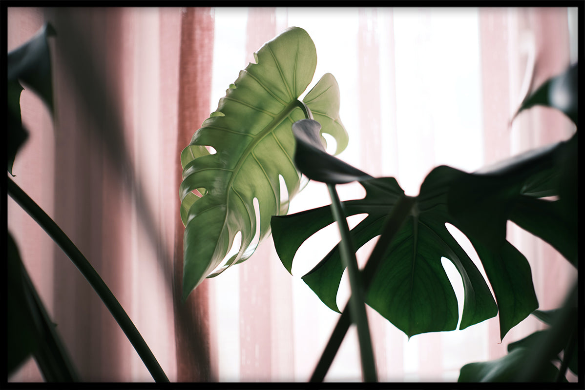 Green & Pink N02 juliste