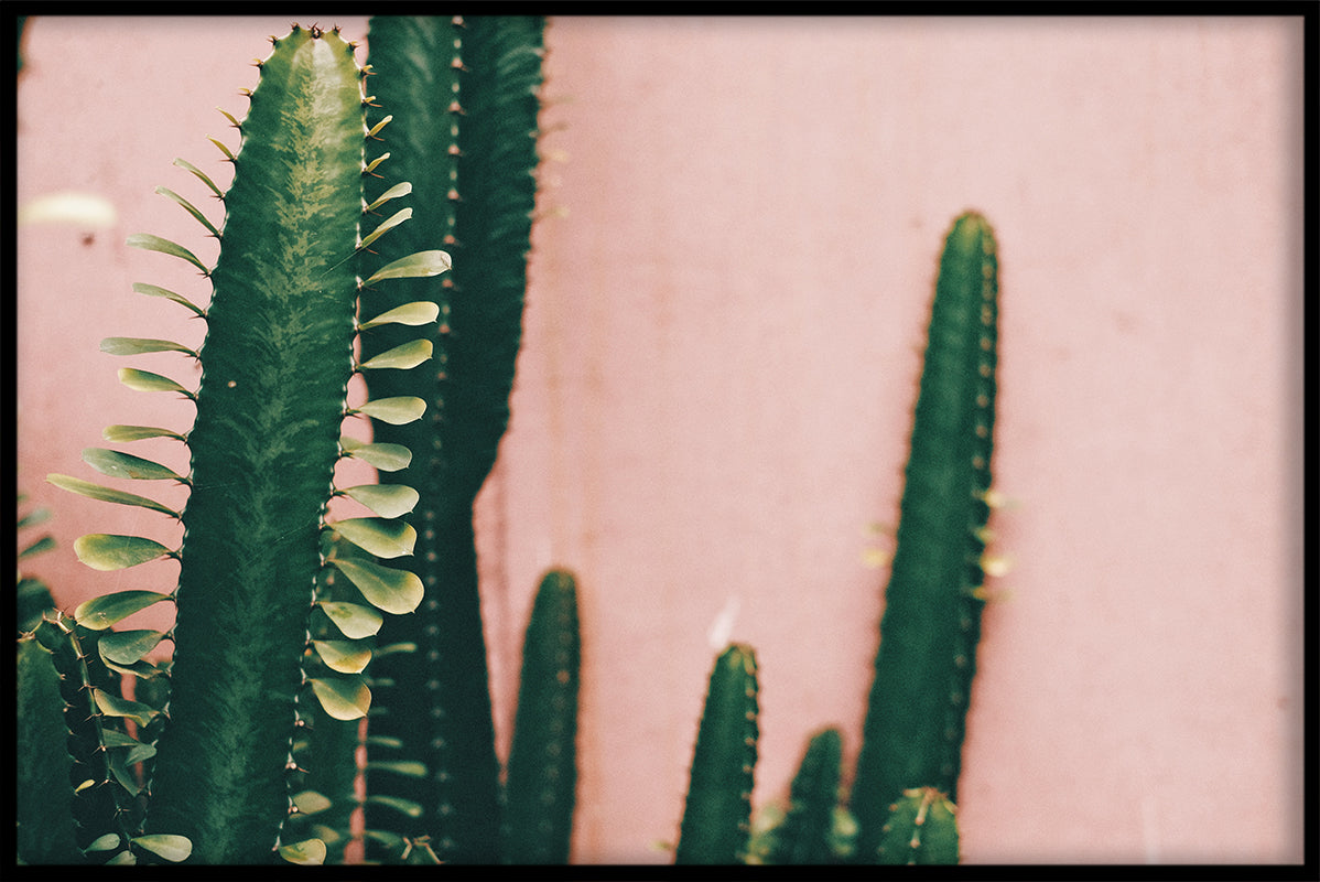 Green & Pink N05 juliste