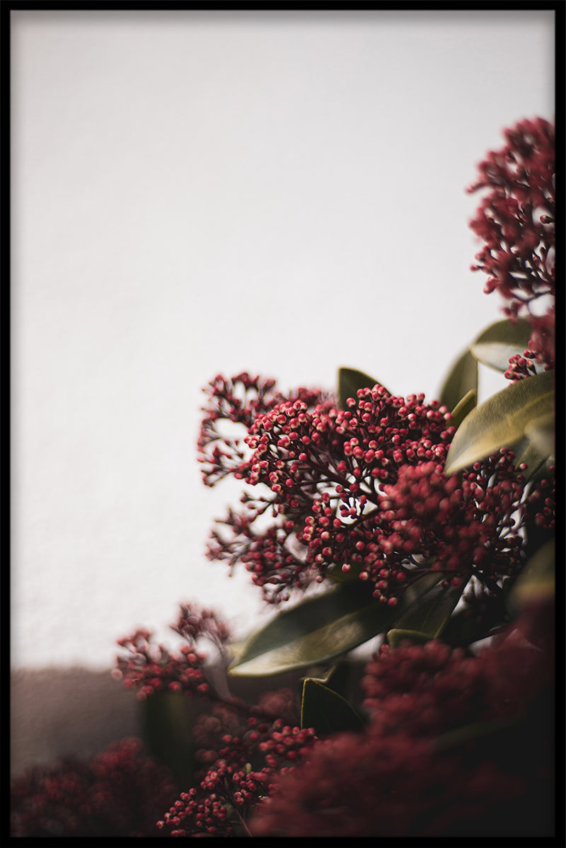 Vintage Flowers Collection N03 juliste