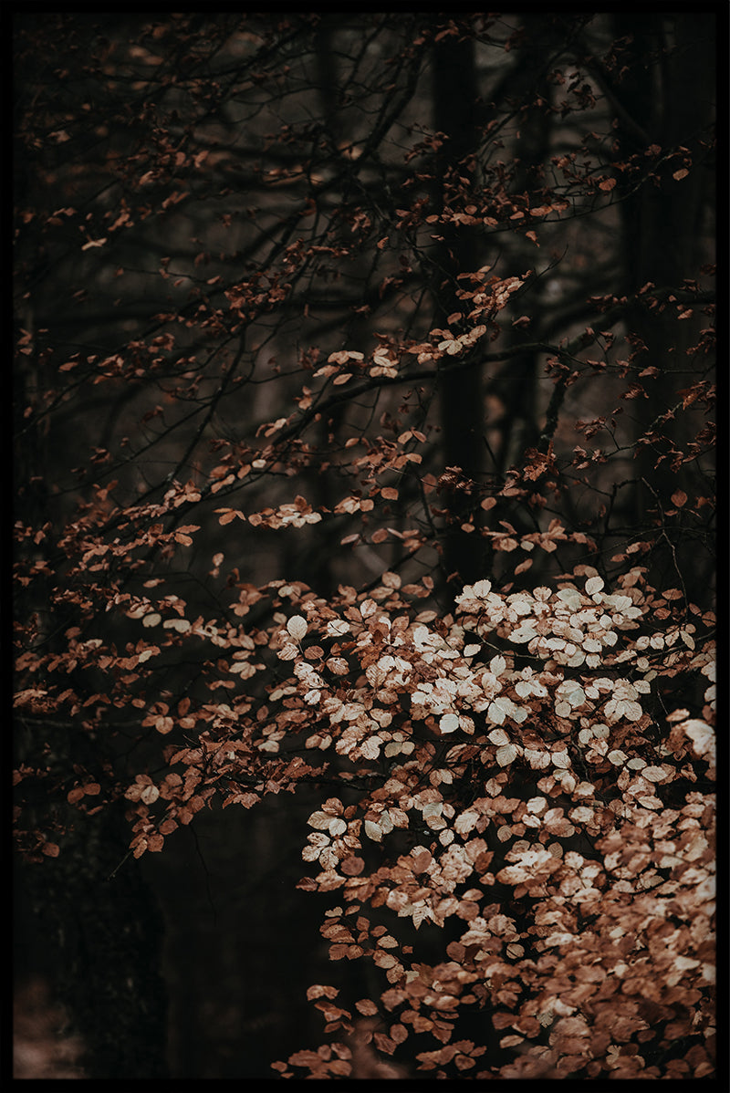 Vintage Botanical Collection N01 juliste