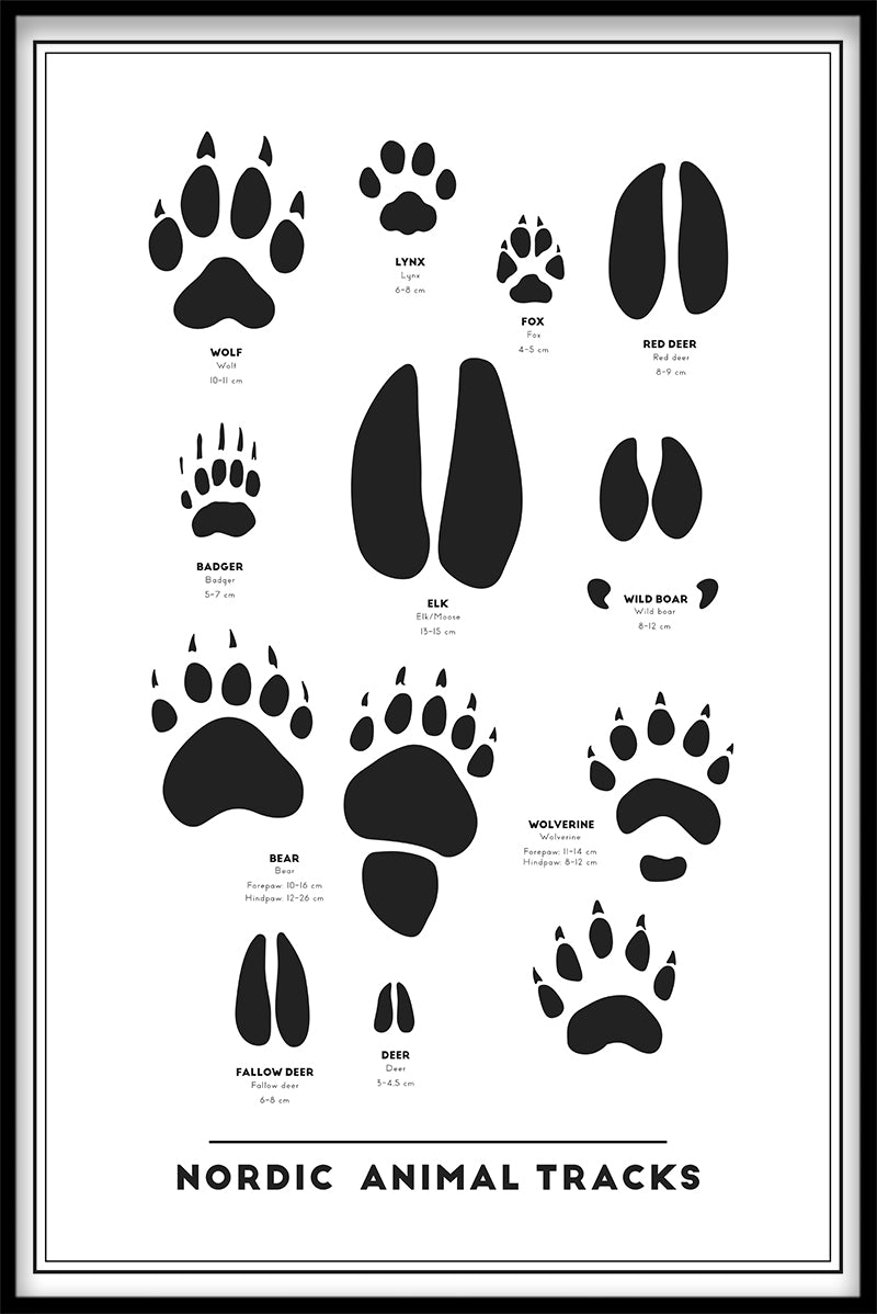 Animal Tracks juliste