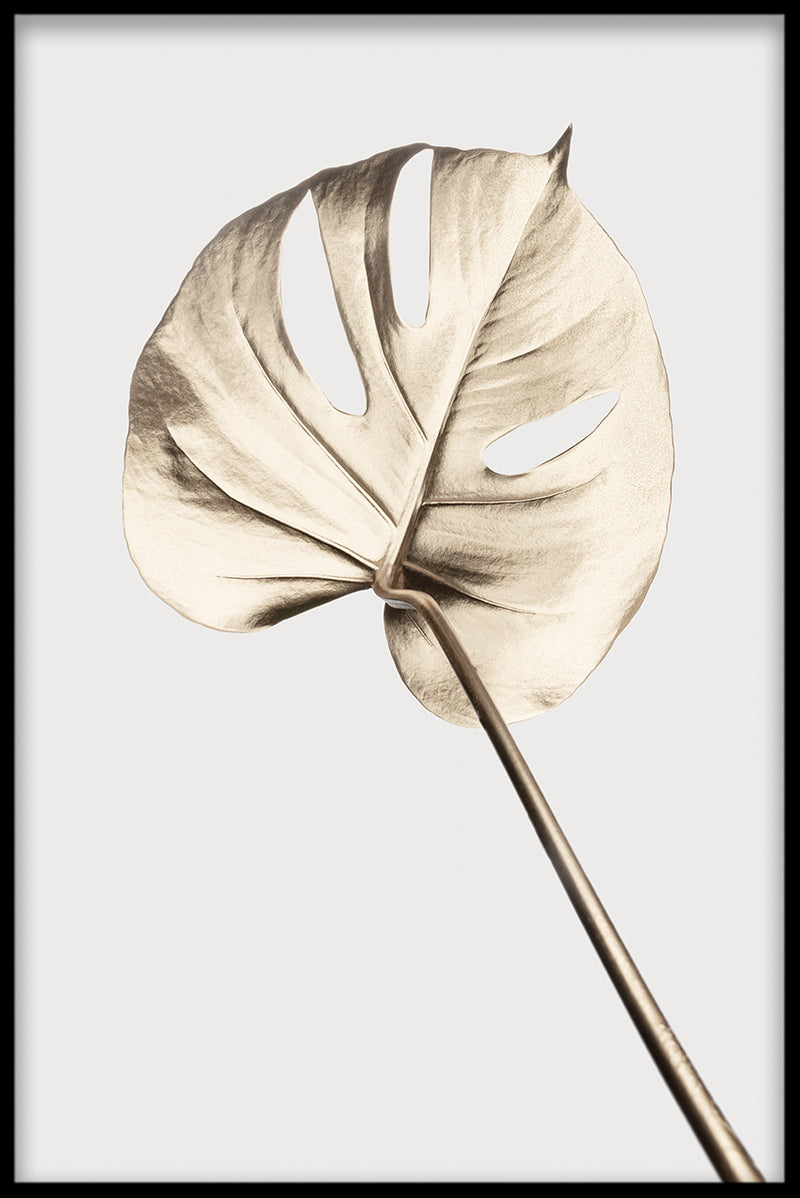 Gold Monstera juliste-pp