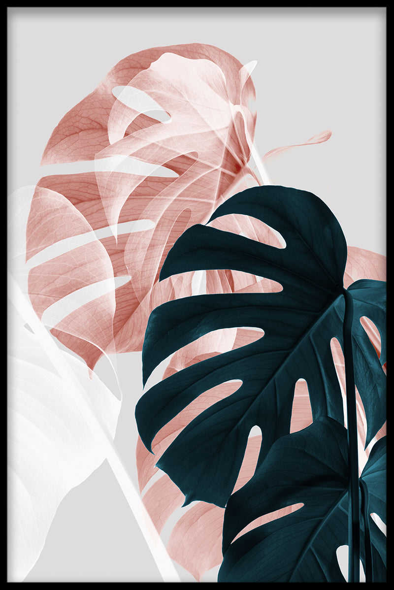 Abstract Monstera N02 juliste-pp