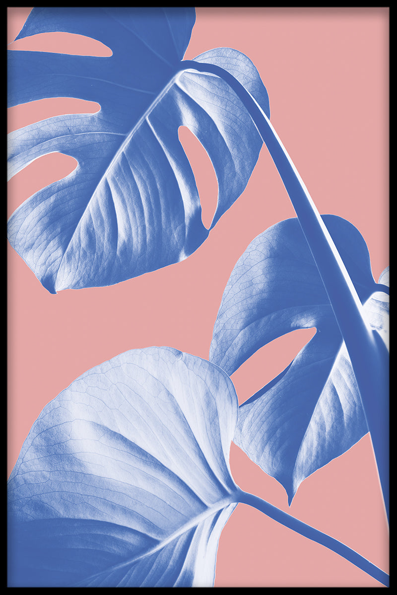 Abstract Monstera N05 juliste