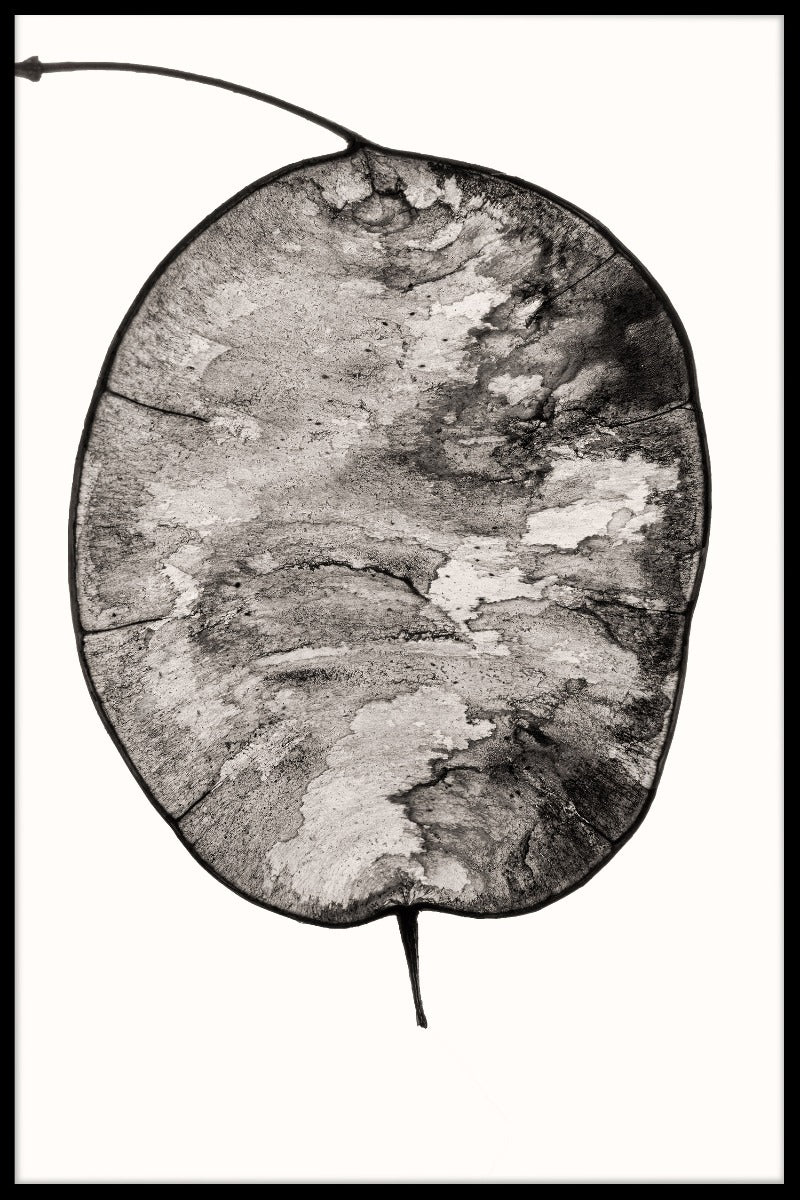 Illustration Abstract juliste