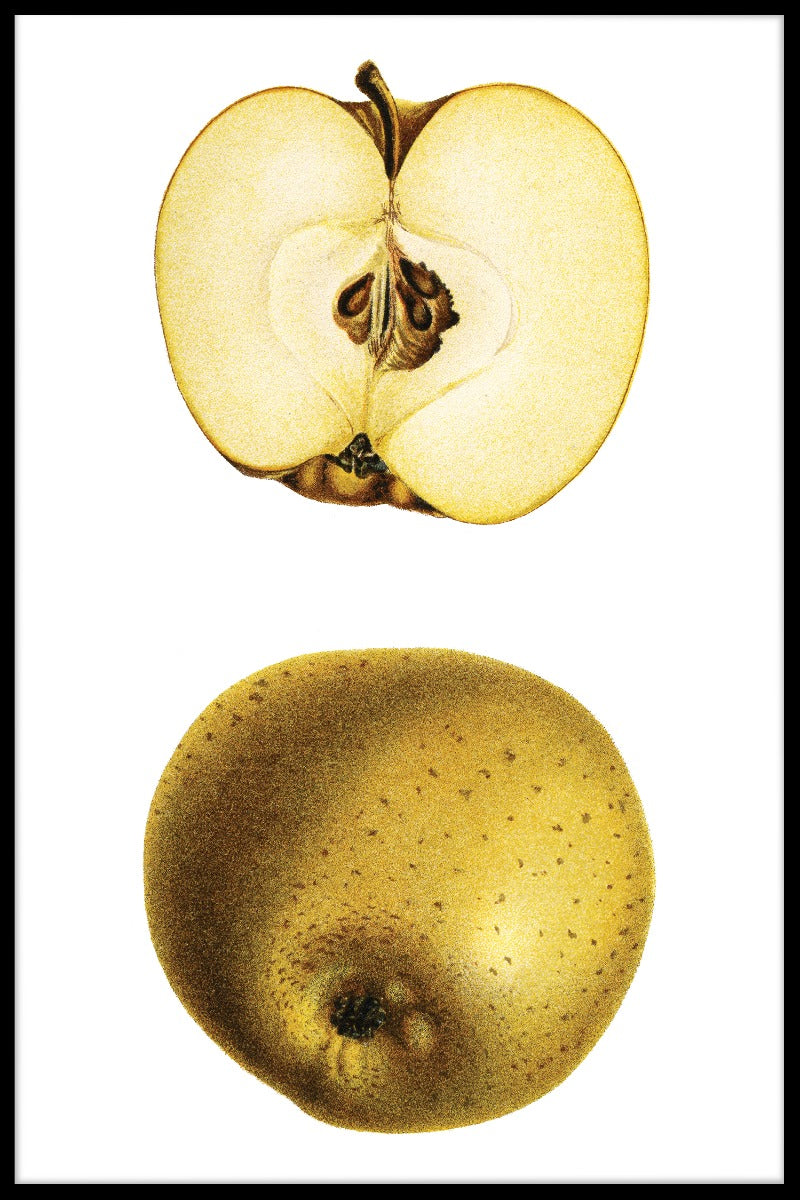 Half Yellow Apple juliste