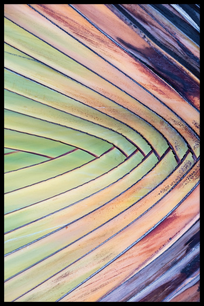 Multicoloured Palm Tree juliste