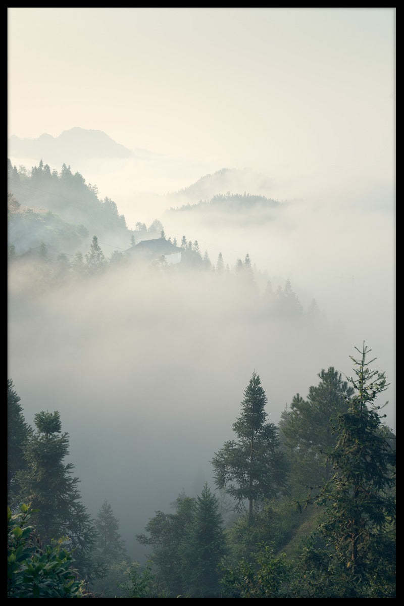 Morning Mist in Forest juliste