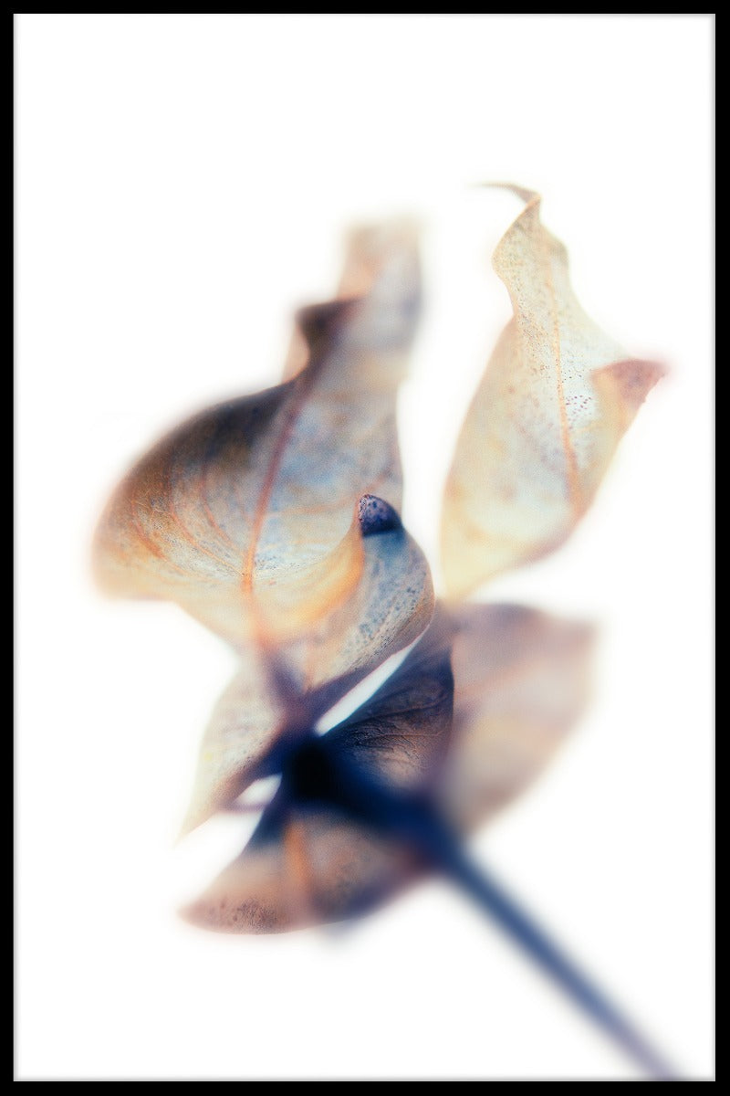 Abstract Blue Brown Toned Leaf juliste