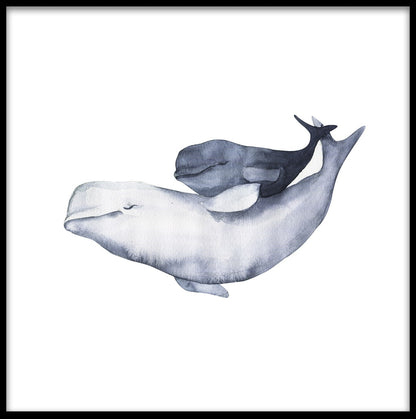 Beluga Whale Family Watercolor juliste