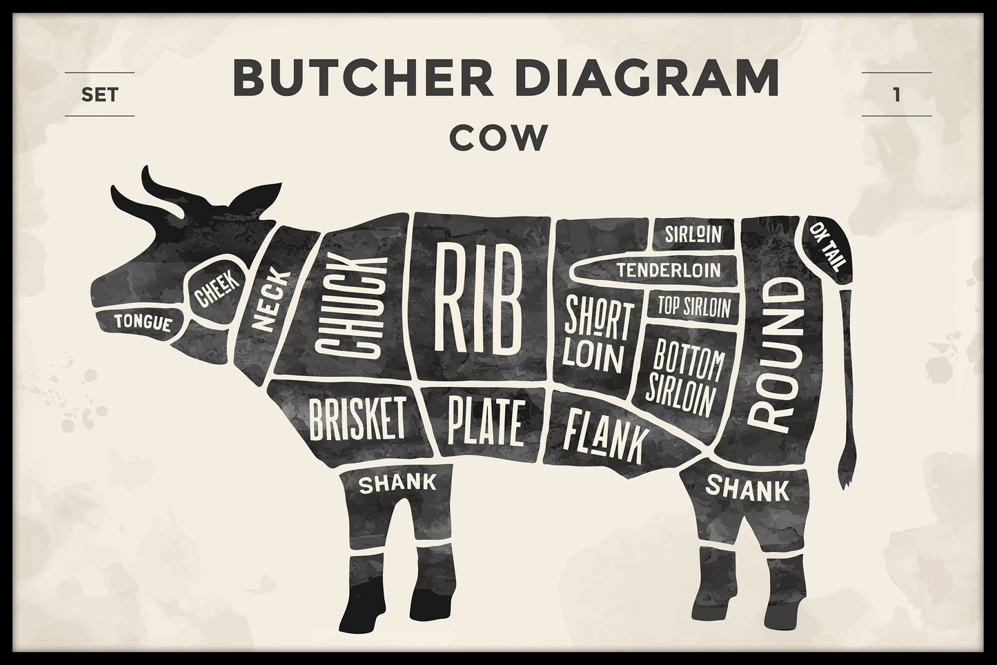 Beef Cuts Illustration juliste