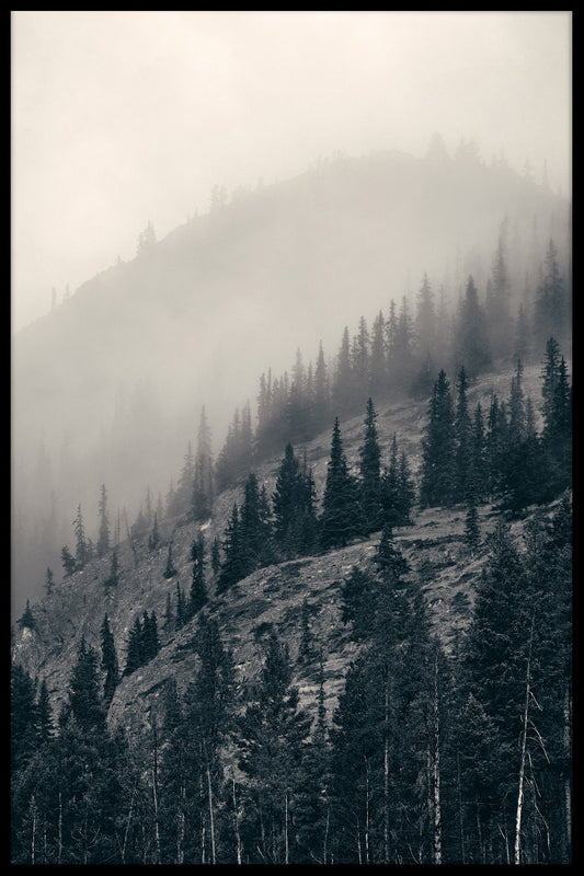 Banff National Park juliste