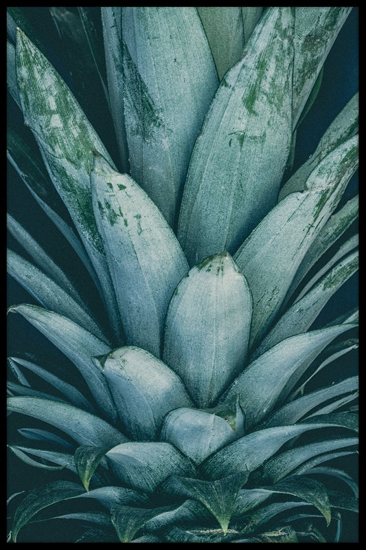 Pineapple Crown juliste