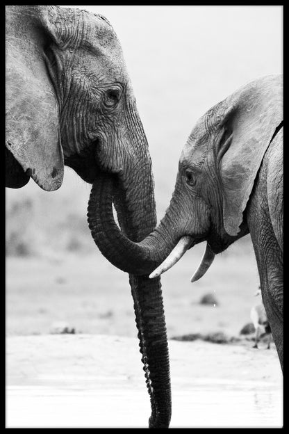 Elephant Mother and Son juliste