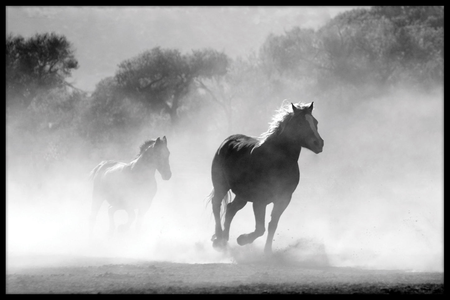 Horse Herd Fog juliste