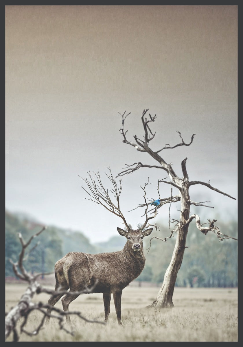 Deer and Tree at Winter juliste