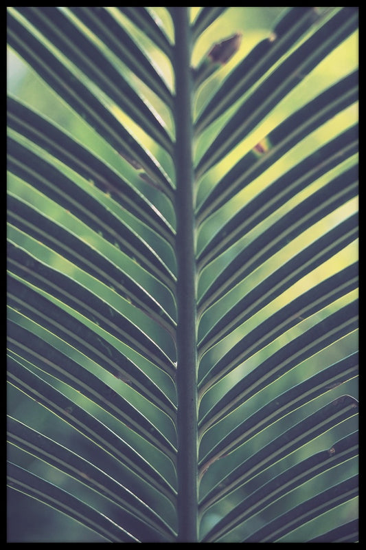 Palm Leaf Green Yellow juliste