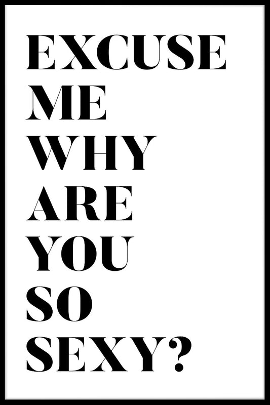 Excuse Me Why Are You So Sexy juliste
