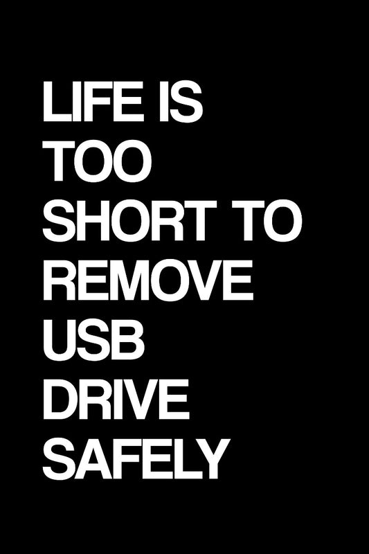 Life Is Too Short To Remove USB Safely juliste