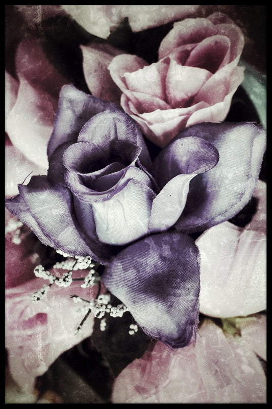 Rose juliste
