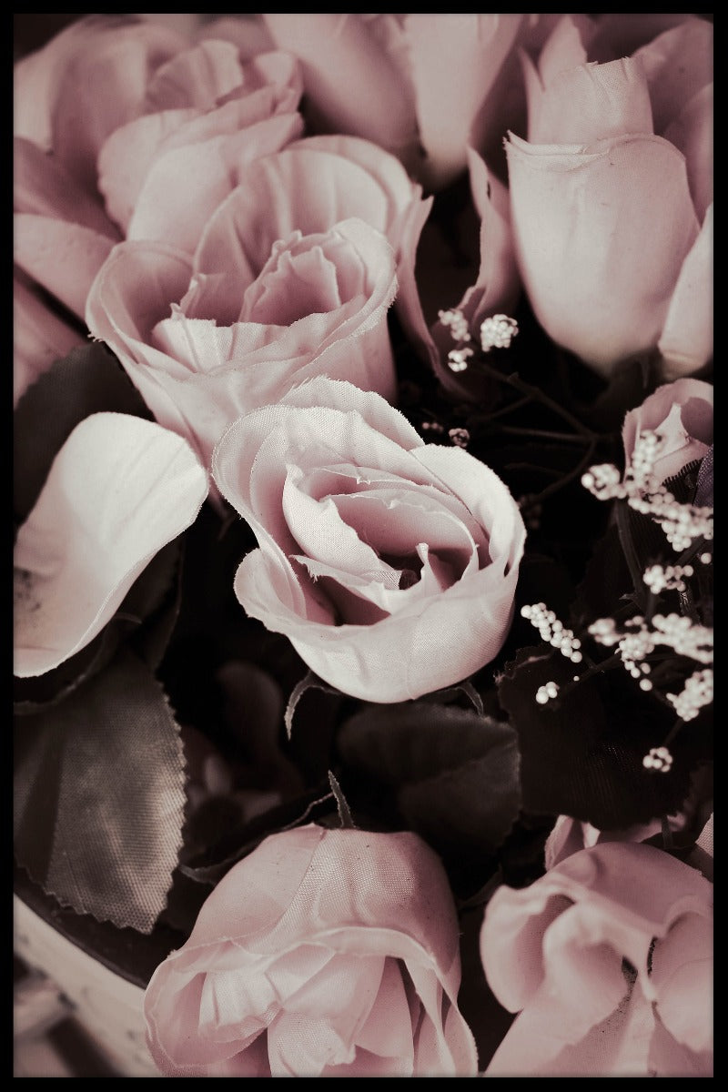 Rose N02 juliste