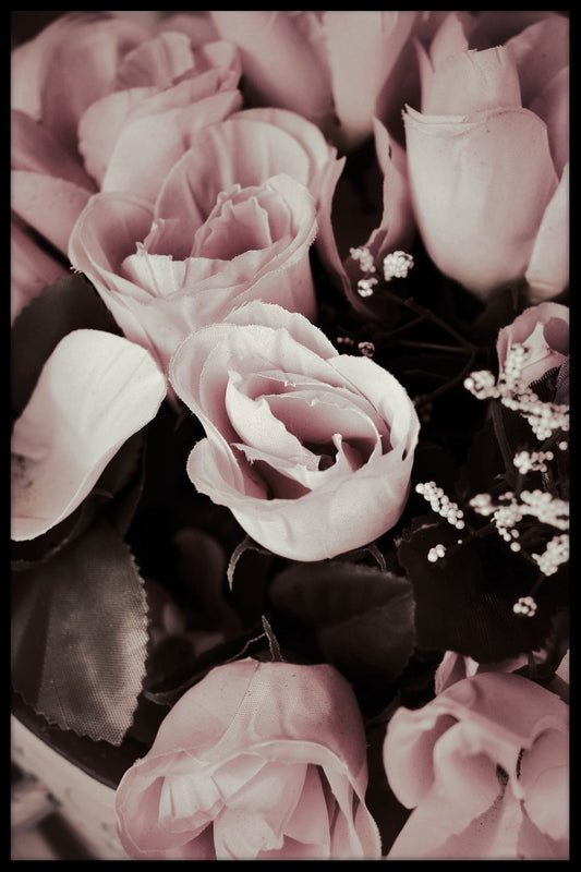 Rose N02 juliste