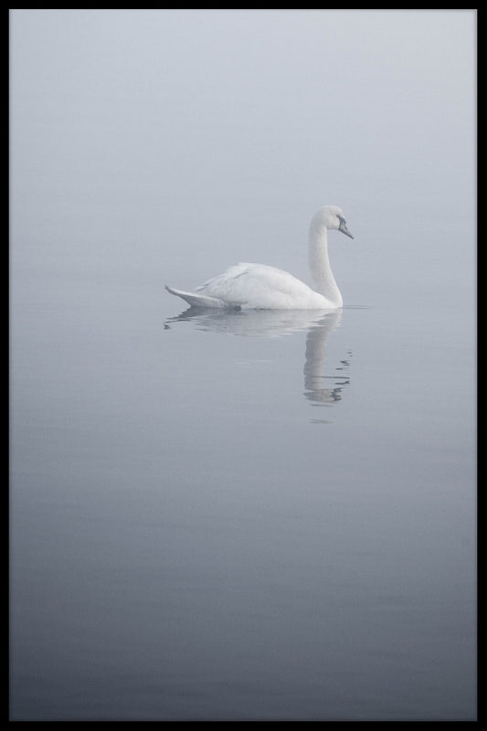 White Swan juliste