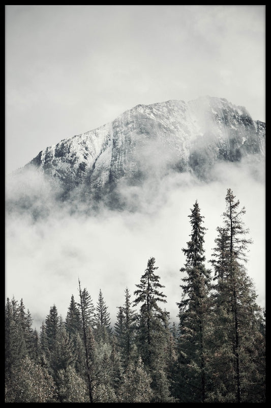 Banff Park juliste