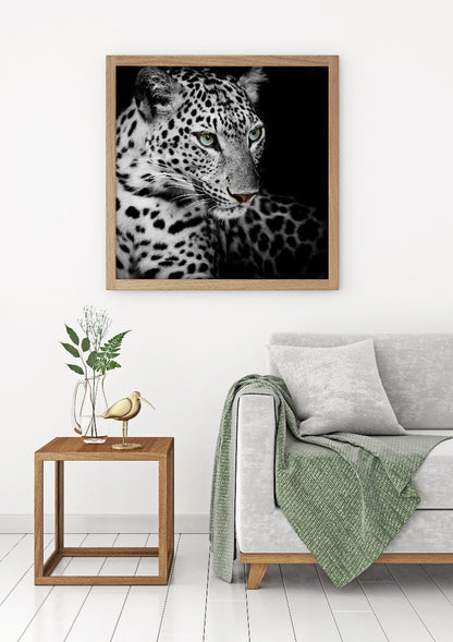 Leopard juliste