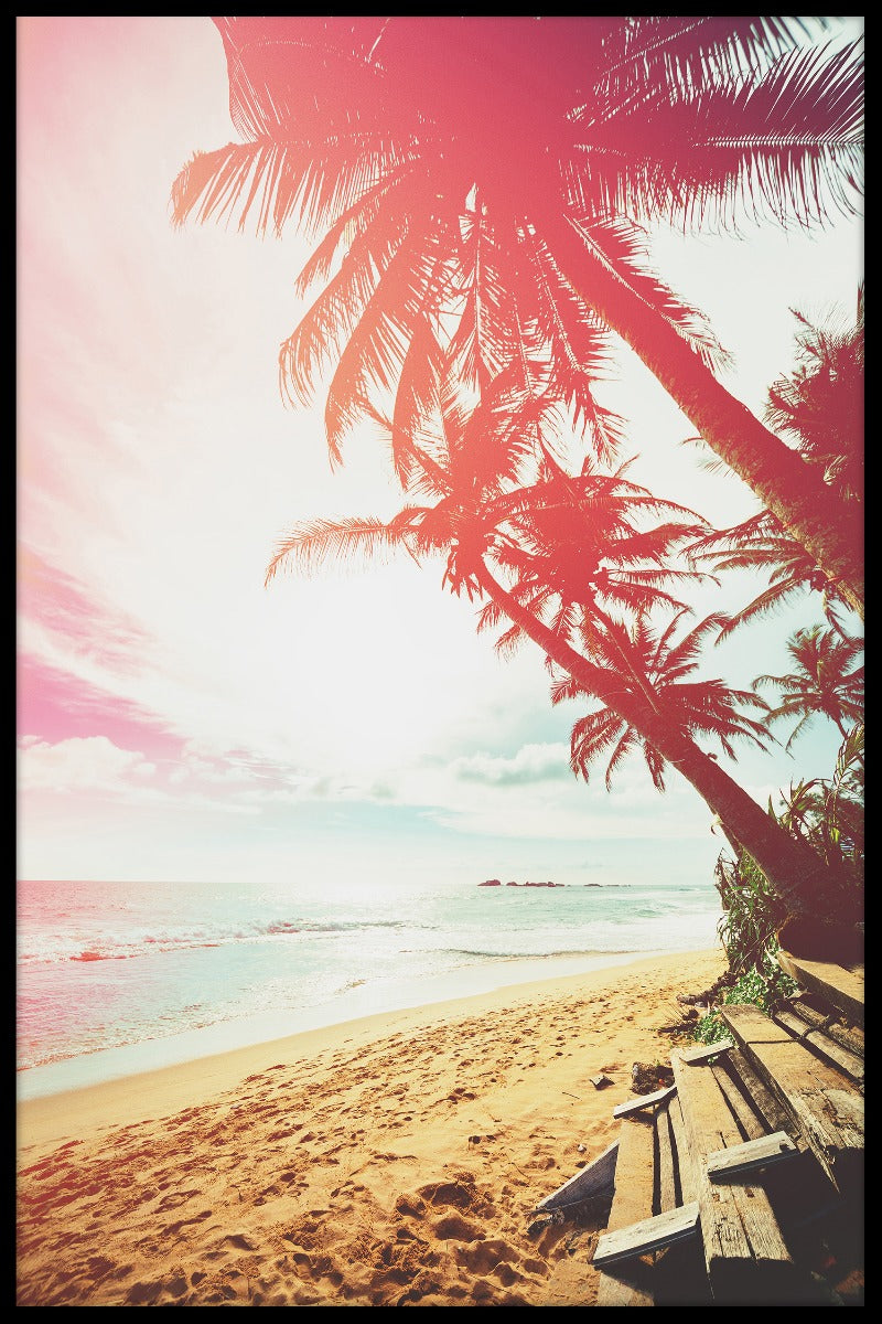 Beach Palm Tree juliste