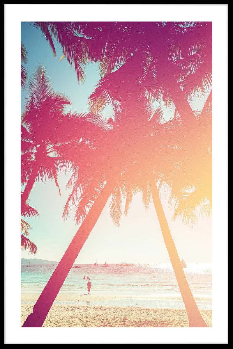 Beach Palm Tree N02 juliste